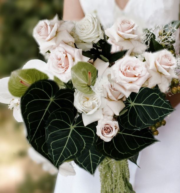 Toronto Flower Delivery Best Flower Shop Toronto Feedback The